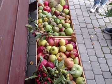Szkolenie sadownicze w Plichtowie 22.09.2021r. fot. KR.Sosnowska, 